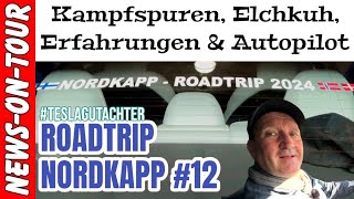 Roadtrip Nordkapp 2024 (12/12)  Kampfspuren, Elchkuh, Erfahrungen und Autopilot (Nachlese)