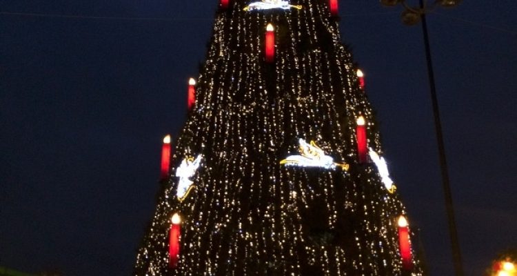 Dortmunder Weihnachtsmarkt  2013: Größter echter Weihnachtsbaum der Welt kostet rund 220.000 Euro | 45 Meter hoch | 90 Tonnen