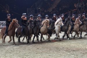 2017 03 19 equitana ntoi 01 messe essen pferde horses