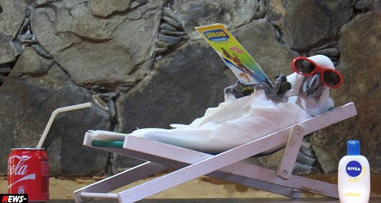 Gran Canaria: Palmitos Park! Coole Papageien und Flipper inklusive | Die BILDER!