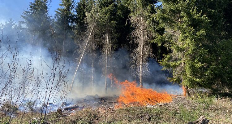 Rauchen im Wald kostet jetzt 150 Euro Strafe! Neuer Umwelt-Bußgeldkatalog für NRW vorgestellt