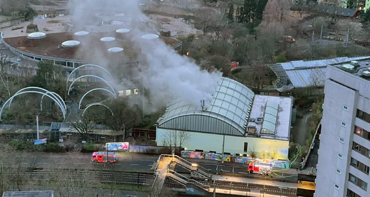 Kölner Zoo: Brand im Regenwaldhaus! Feuer unter Kontrolle! (Mit Video)
