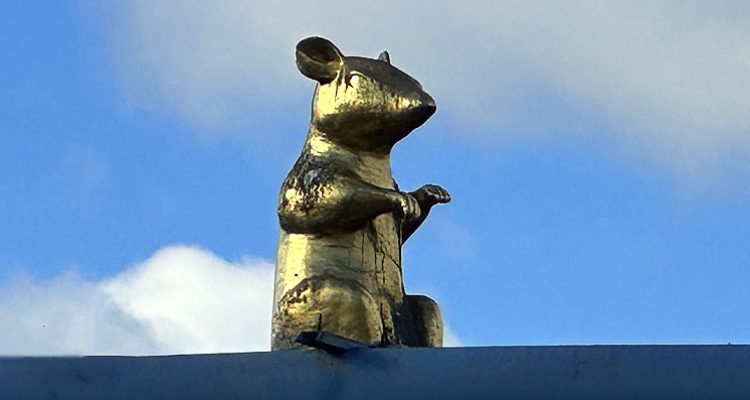 Hameln: Die goldene Ratte als Erinnerung an die Sage des Rattenfängers
