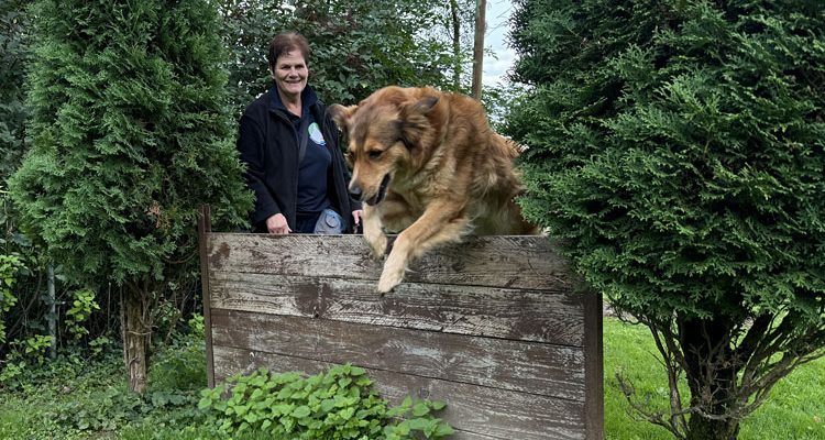 1. Hunde-Jahrmarkt in Bergneustadt: DER Treffpunkt für Hundefreunde präsentiert vom Schäferhundeverein Bergneustadt